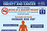 Infographic Obesity And Cancer | American Institute For Cancer Research ...