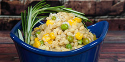 HeR 594 Golden Quick Barley with Sweet Peas and Corn 